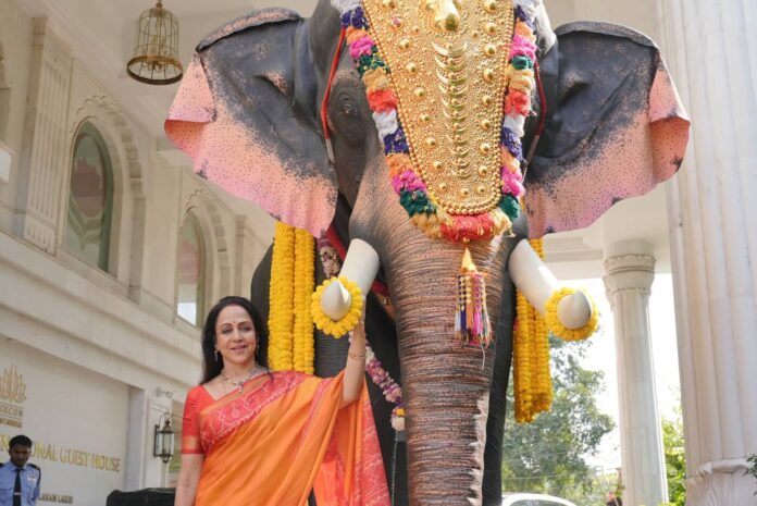 hema elephant